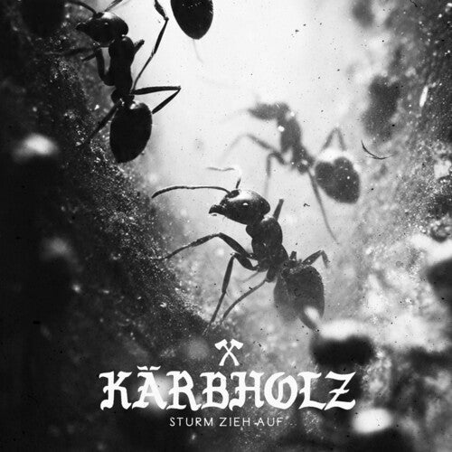 Sturm Zieh Auf -- Karbholz, CD