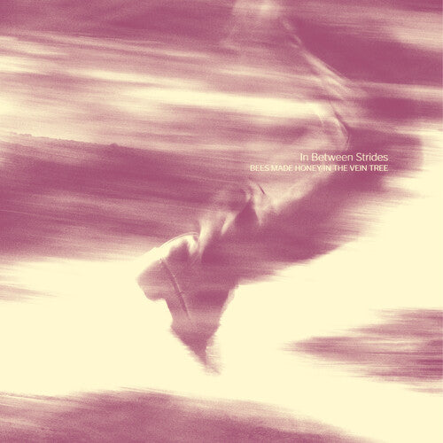 In Between Strides -- Bees Made Honey In The Vein Tree, CD