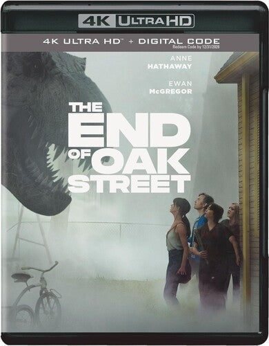 End Of Oak Street -- Ultra HD