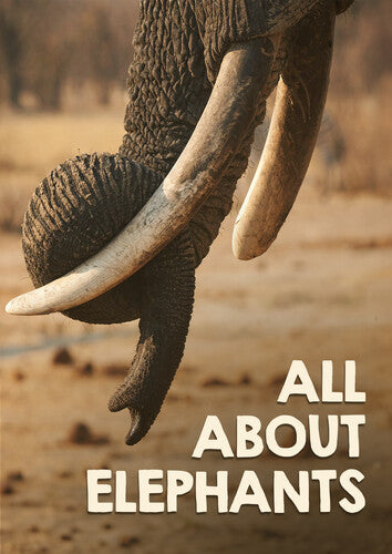 All About Elephants -- DVD