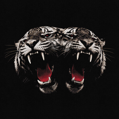 Dead Company -- Royal Blood, CD