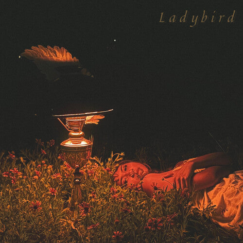 Ladybird Ep -- ORCA, LP