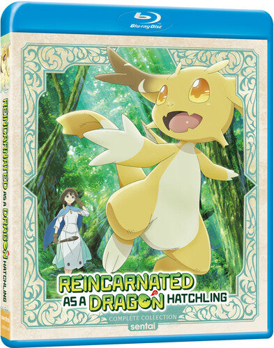 Reincarnated As A Dragon Hatchling: Comp Coll -- Blu-ray