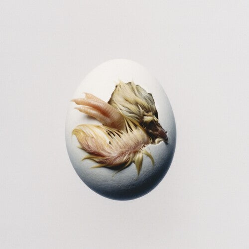 Swallow -- Shygirl, CD
