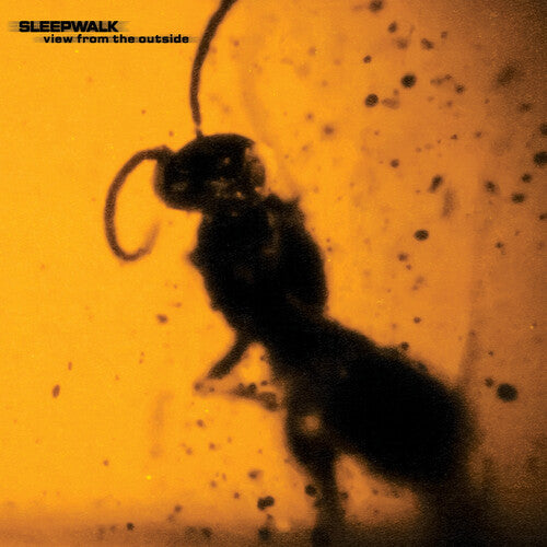 View From The Outside -- Sleepwalk, LP