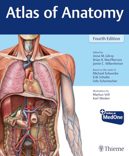 Atlas of Anatomy -- Anne M. Gilroy, Paperback
