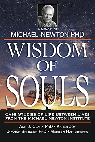 Wisdom of Souls: Case Studies of Life Between Lives from the Michael Newton Institute -- The Newton Institute, Paperback