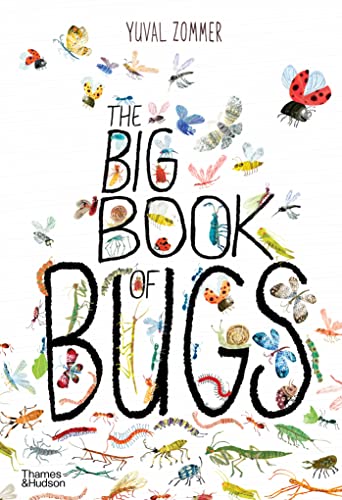 The Big Book of Bugs -- Yuval Zommer, Hardcover