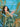 Fish Girl: A Graphic Novel -- Donna Jo Napoli, Paperback