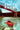 The Empty Kayak: A Queen City Crimes Mystery by Millman, Jodé