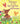 Fletcher and the Springtime Blossoms by Rawlinson, Julia