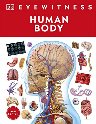 Eyewitness Human Body -- DK, Hardcover