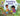 Everything Grows -- Raffi, Board Book
