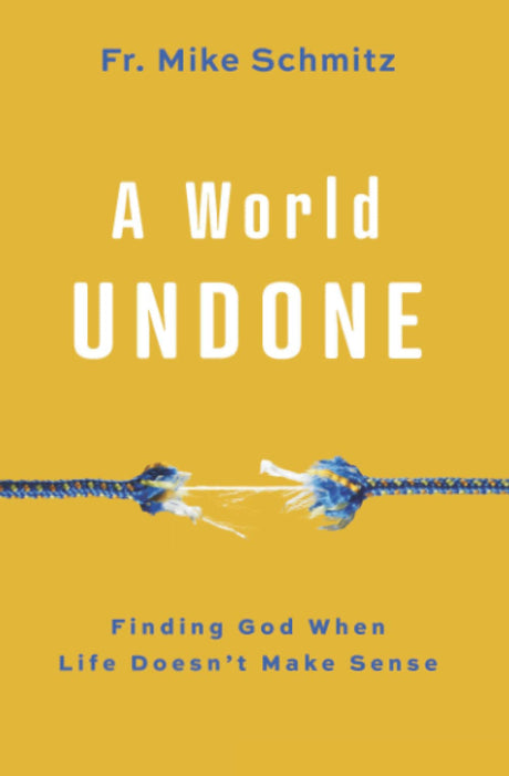 World Undone: Finding God When Life Doesn't Make Sense -- Mike Schmitz, Paperback