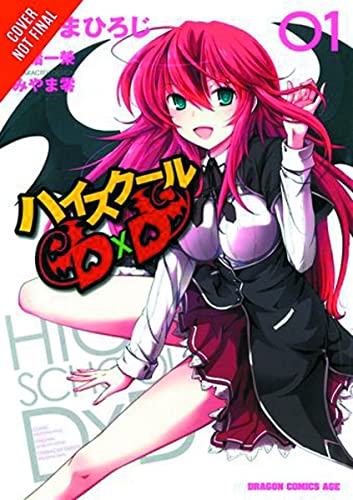 High School DXD, Vol. 1 -- Hiroji Mishima, Paperback