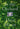 In the Orchard -- Eliza Minot, Hardcover