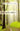 NIV, Value Outreach Bible, Paperback -- Zondervan, Bible