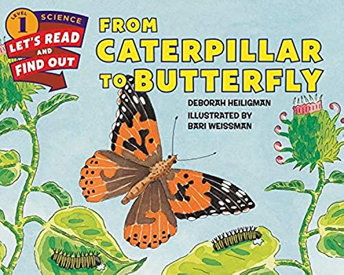 From Caterpillar to Butterfly by Heiligman, Deborah