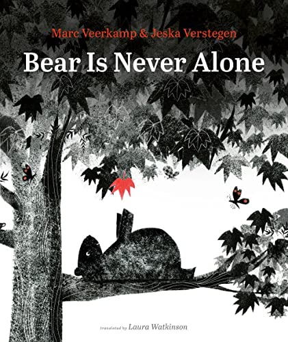 Bear Is Never Alone -- Marc Veerkamp, Hardcover