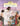 The Easter Story for Children by Lucado, Max