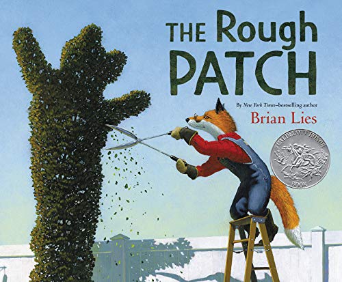 The Rough Patch: A Caldecott Honor Award Winner -- Brian Lies, Hardcover