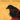 Transatlanticism