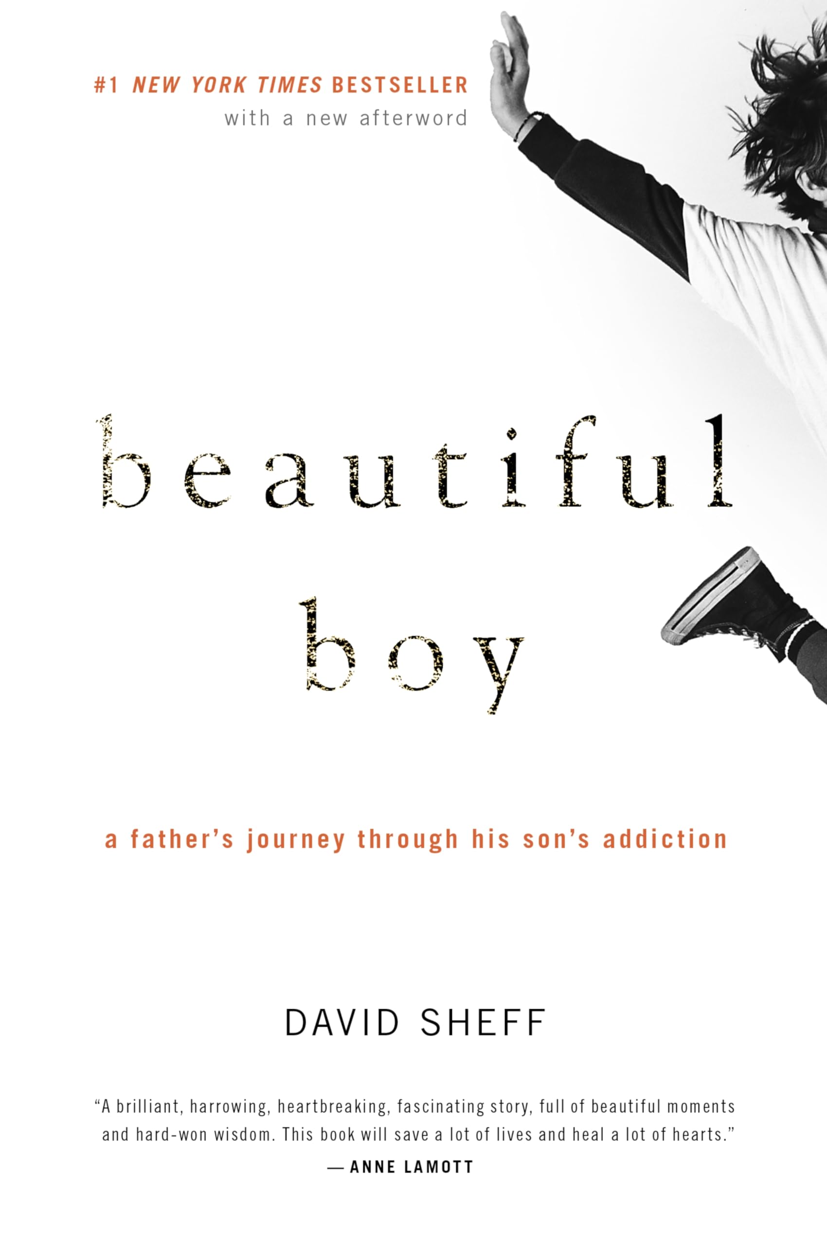 Beautiful Boy: A Father's Journey Through His Son's Addiction by Sheff, David