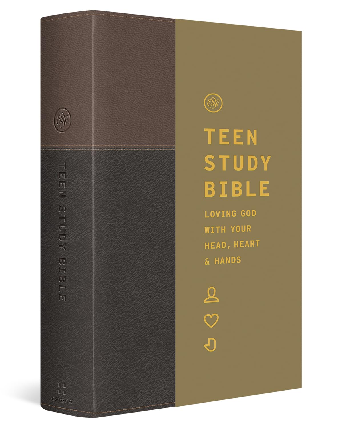 ESV Teen Study Bible (Trutone, Slate/Umber) by Nielson, Jon