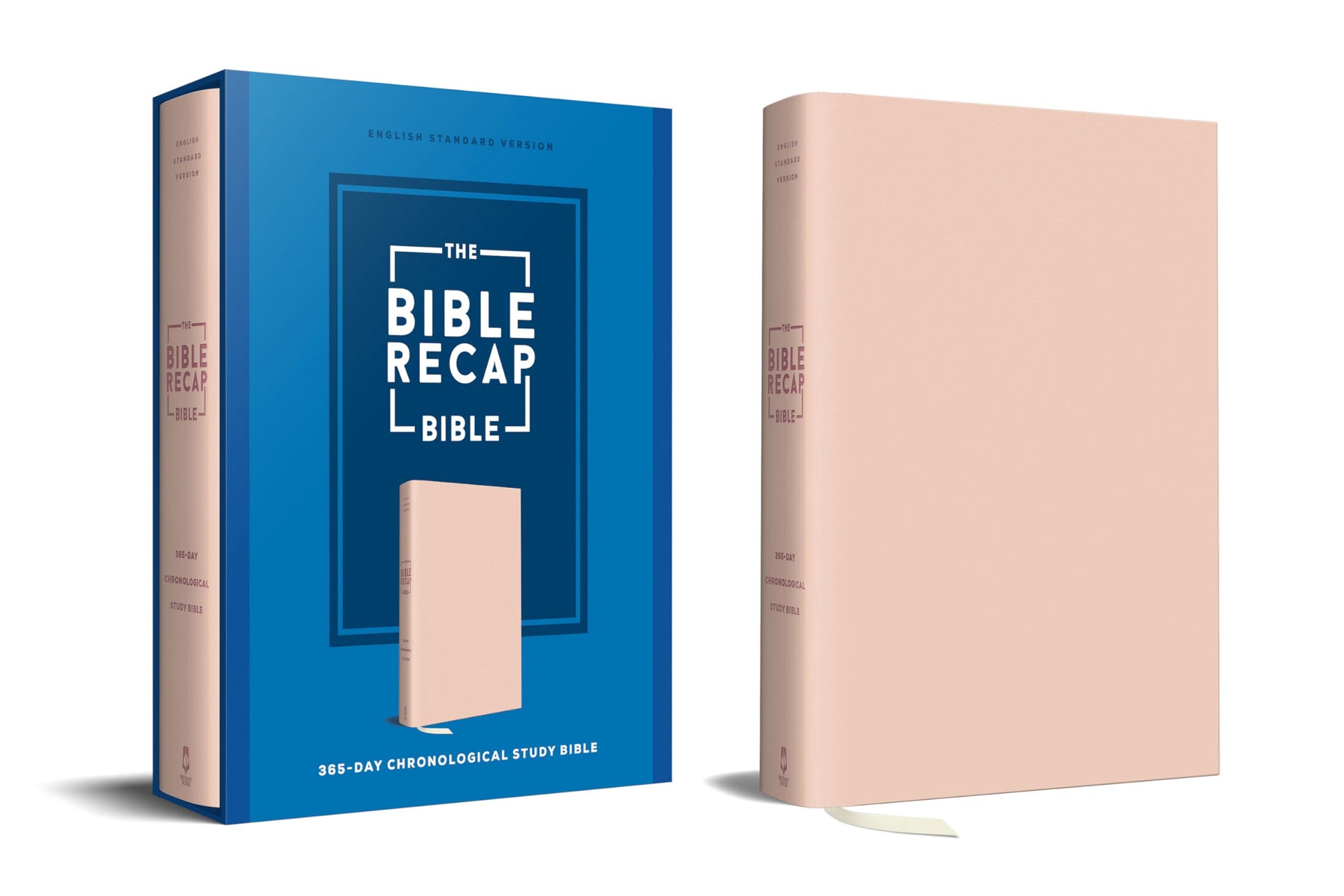 The Bible Recap 365-Day Chronological Study Bible: English Standard Version - Imitation Leather, Pink by Cobble, Tara-Leigh