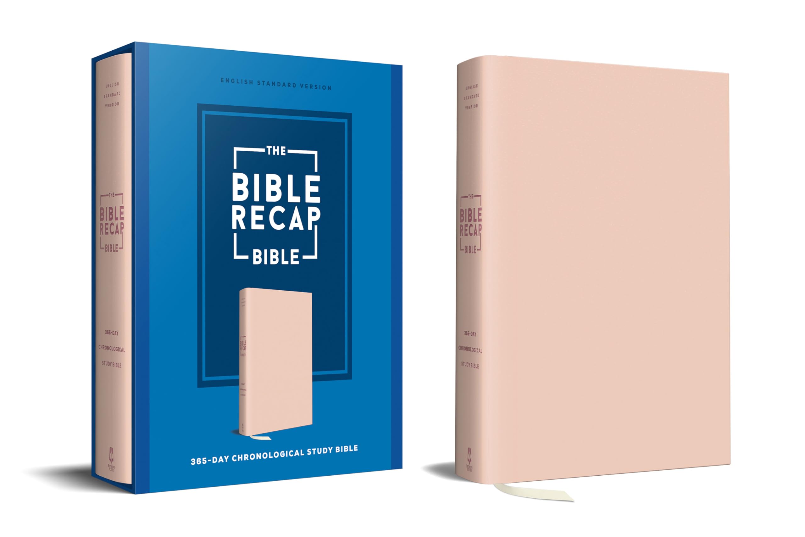 The Bible Recap 365-Day Chronological Study Bible: English Standard Version - Imitation Leather, Pink by Cobble, Tara-Leigh