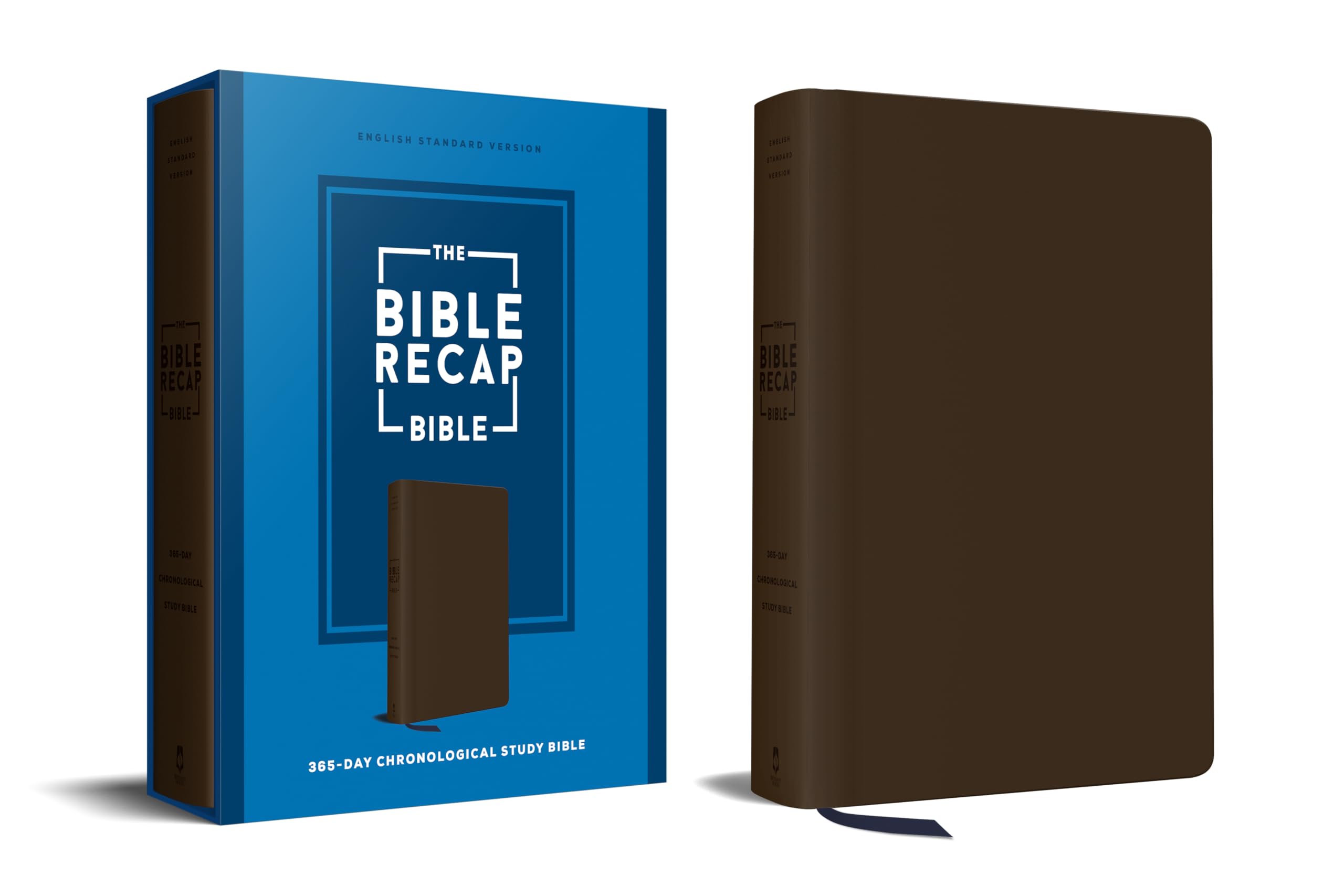 The Bible Recap 365-Day Chronological Study Bible: English Standard Version - Imitation Leather by Cobble, Tara-Leigh