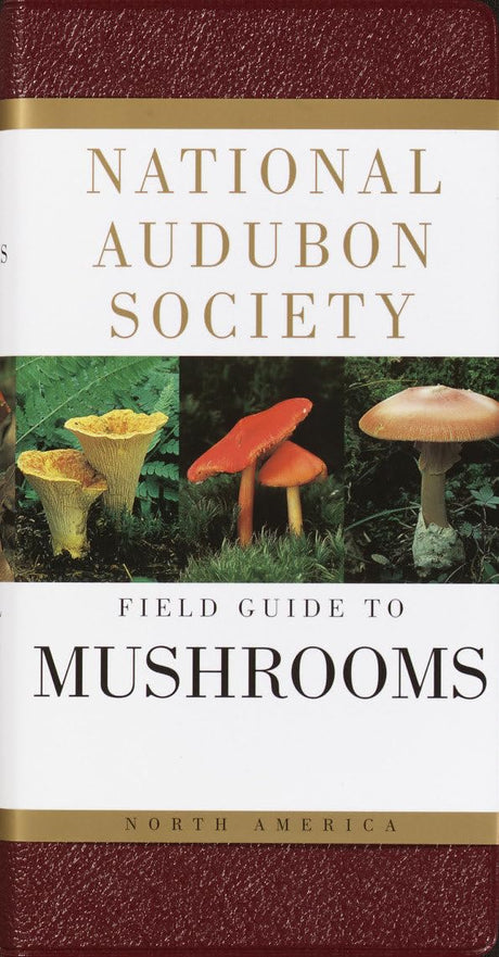 National Audubon Society Field Guide to North American Mushrooms -- National Audubon Society, Hardcover