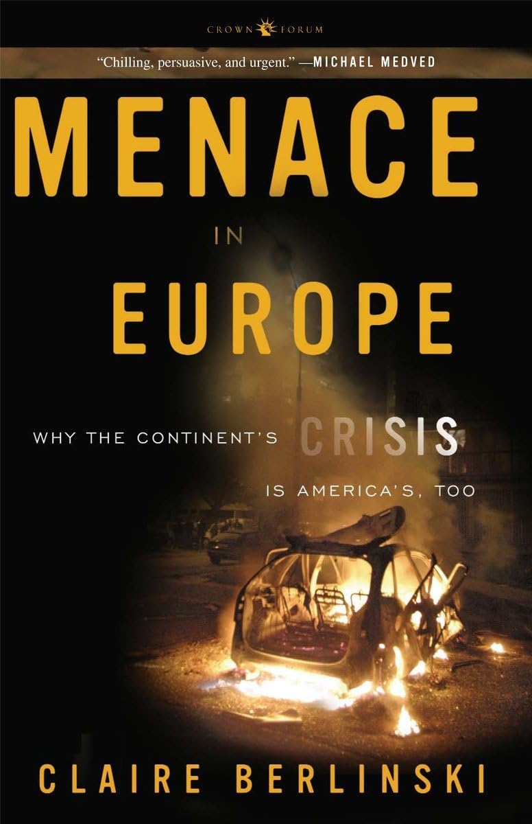 Used - Very Good | Menace in Europe: Why the Continent's Crisis Is America's, Too -- Claire Berlinski, Paperback