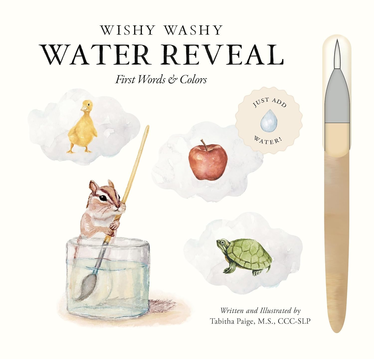 Wishy Washy (Water Reveal Edition): A Reusable Water Reveal Activity Book Teaching First Words and Colors by Paige, Tabitha