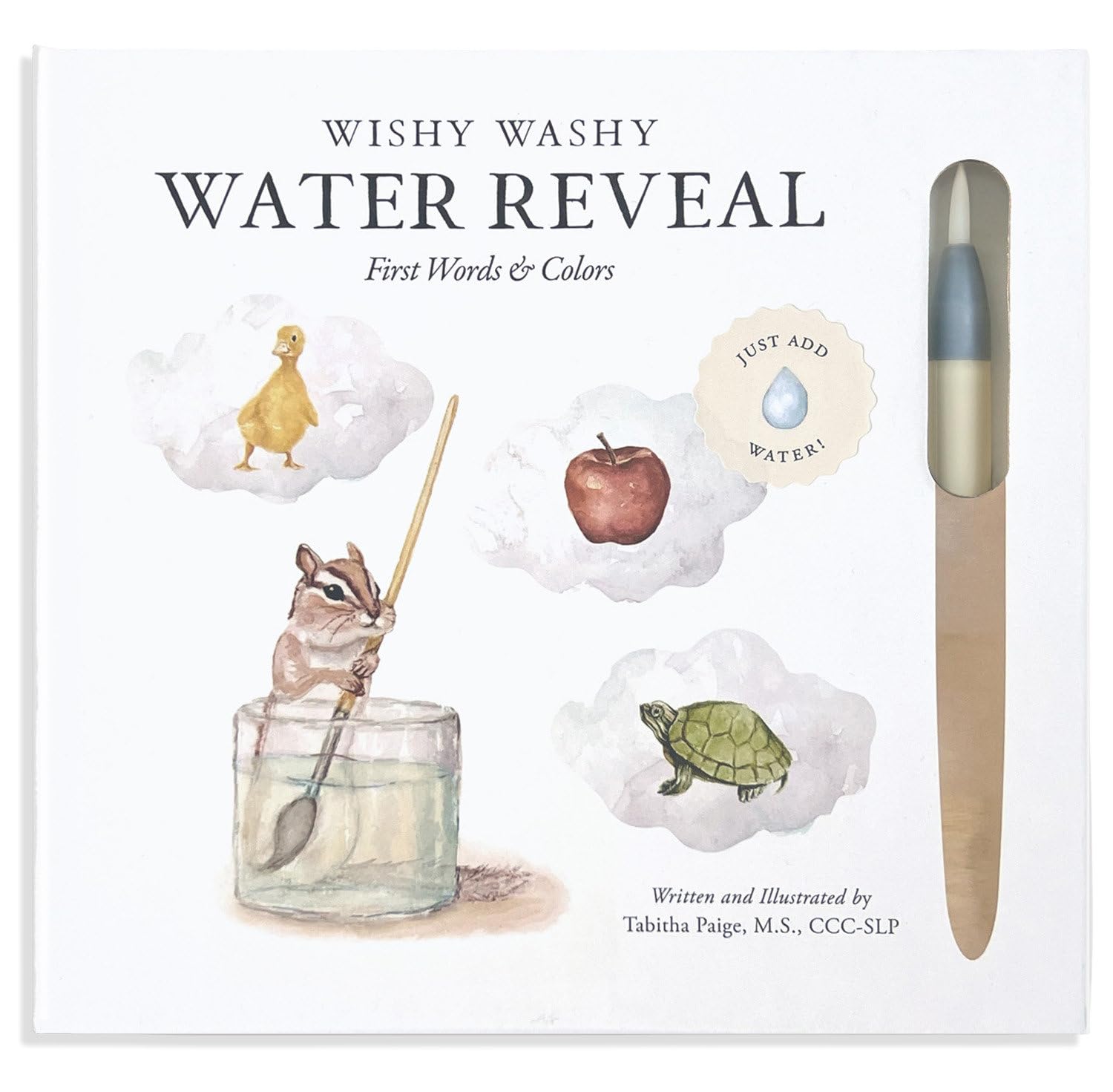 Wishy Washy (Water Reveal Edition): A Reusable Water Reveal Activity Book Teaching First Words and Colors by Paige, Tabitha