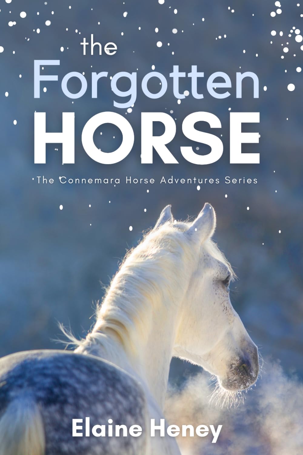 The Forgotten Horse - Book 1 in the Connemara Horse Adventure Series for Kids. The perfect gift for children age 8-12. by Heney, Elaine