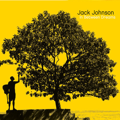 In Between Dreams, Jack Johnson, LP