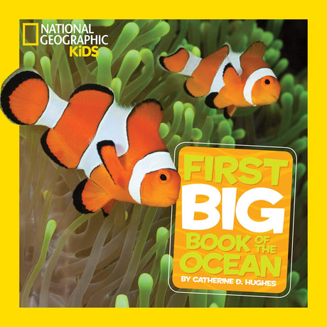 National Geographic Little Kids First Big Book of the Ocean -- Catherine D. Hughes, Hardcover