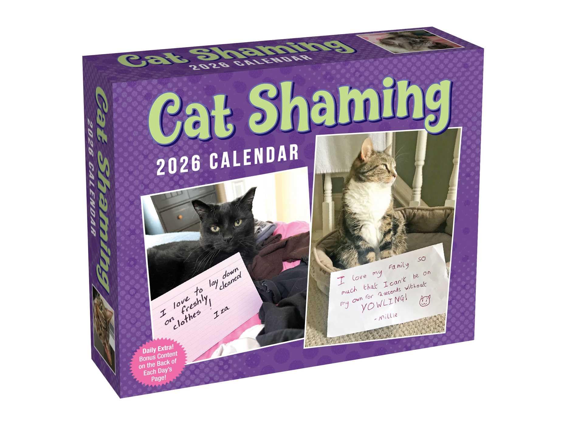Cat Shaming 2026 Day-To-Day Calendar by Andrade, Pedro