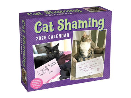 Cat Shaming 2026 Day-To-Day Calendar -- Pedro Andrade, Daily