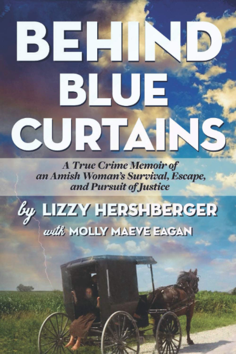 Behind Blue Curtains: A True Crime Memoir of an Amish Woman's Survival, Escape, and Pursuit of Justice -- Molly Maeve Eagan, Paperback