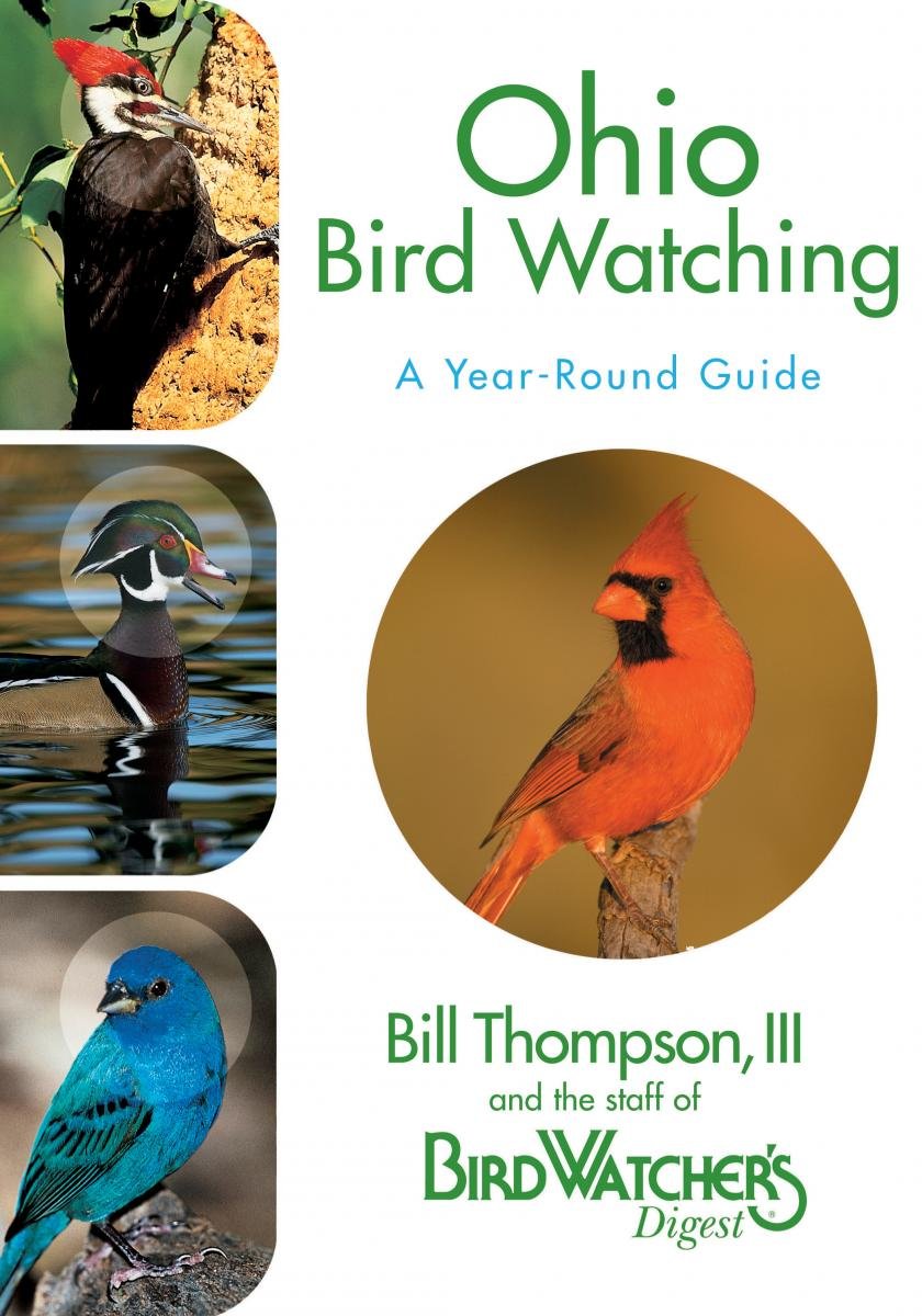 Used - Very Good | Ohio Bird Watching: A Year-Round Guide -- Bill Thompson, Paperback