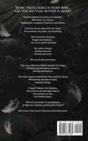 Feathers so Vicious: A Dark Fantasy Romance -- LIV Zander, Paperback