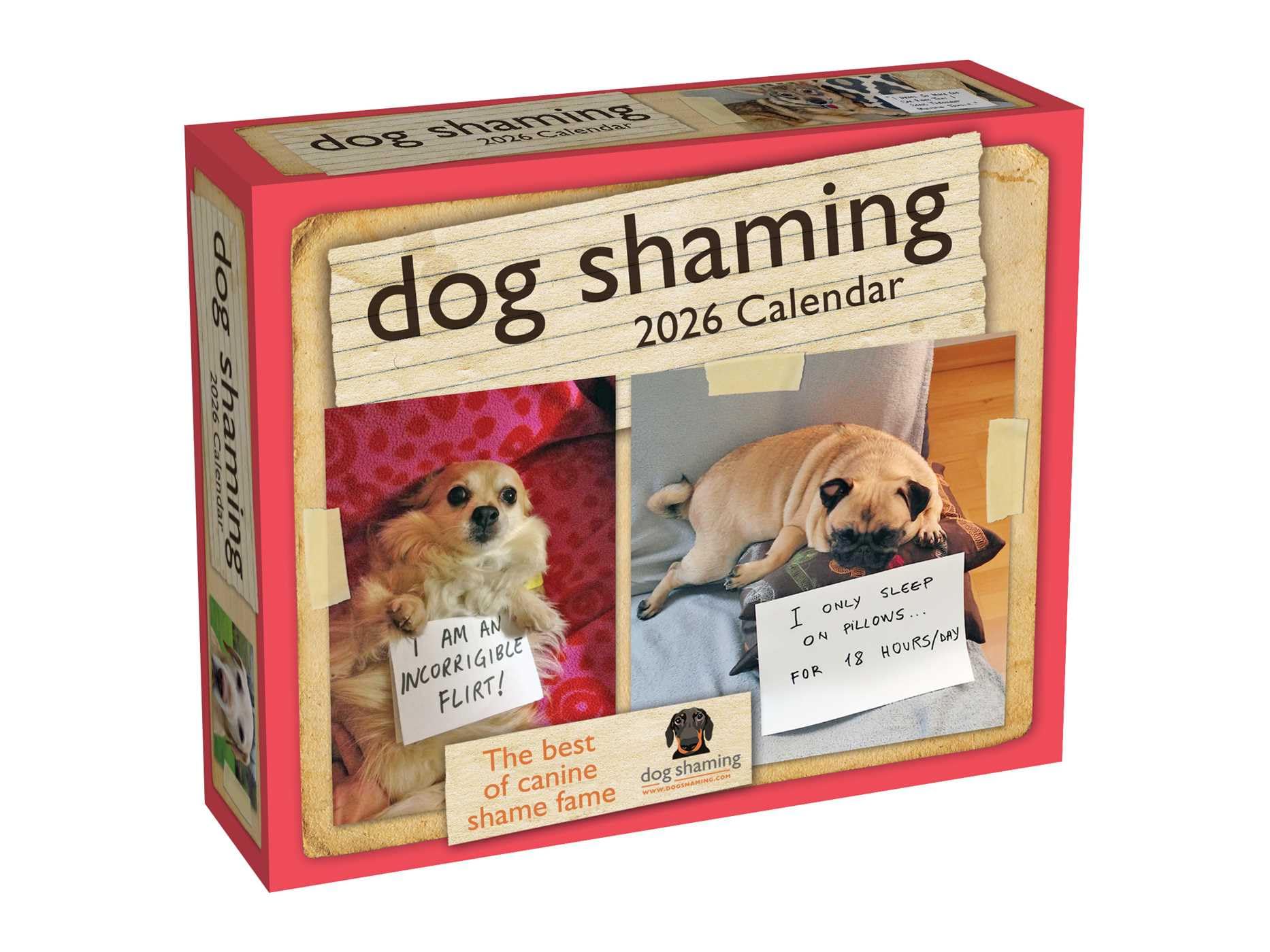 Dog Shaming 2026 Day-To-Day Calendar by Lemire, Pascale