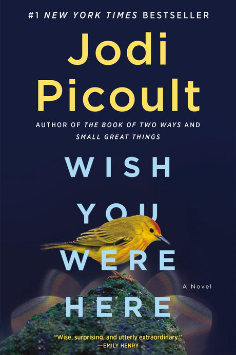 Wish You Were Here -- Jodi Picoult, Paperback