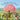An Easter Egg Hunt for Jesus by Jones, Susan
