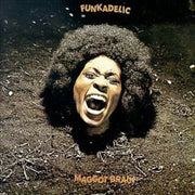Maggot Brain