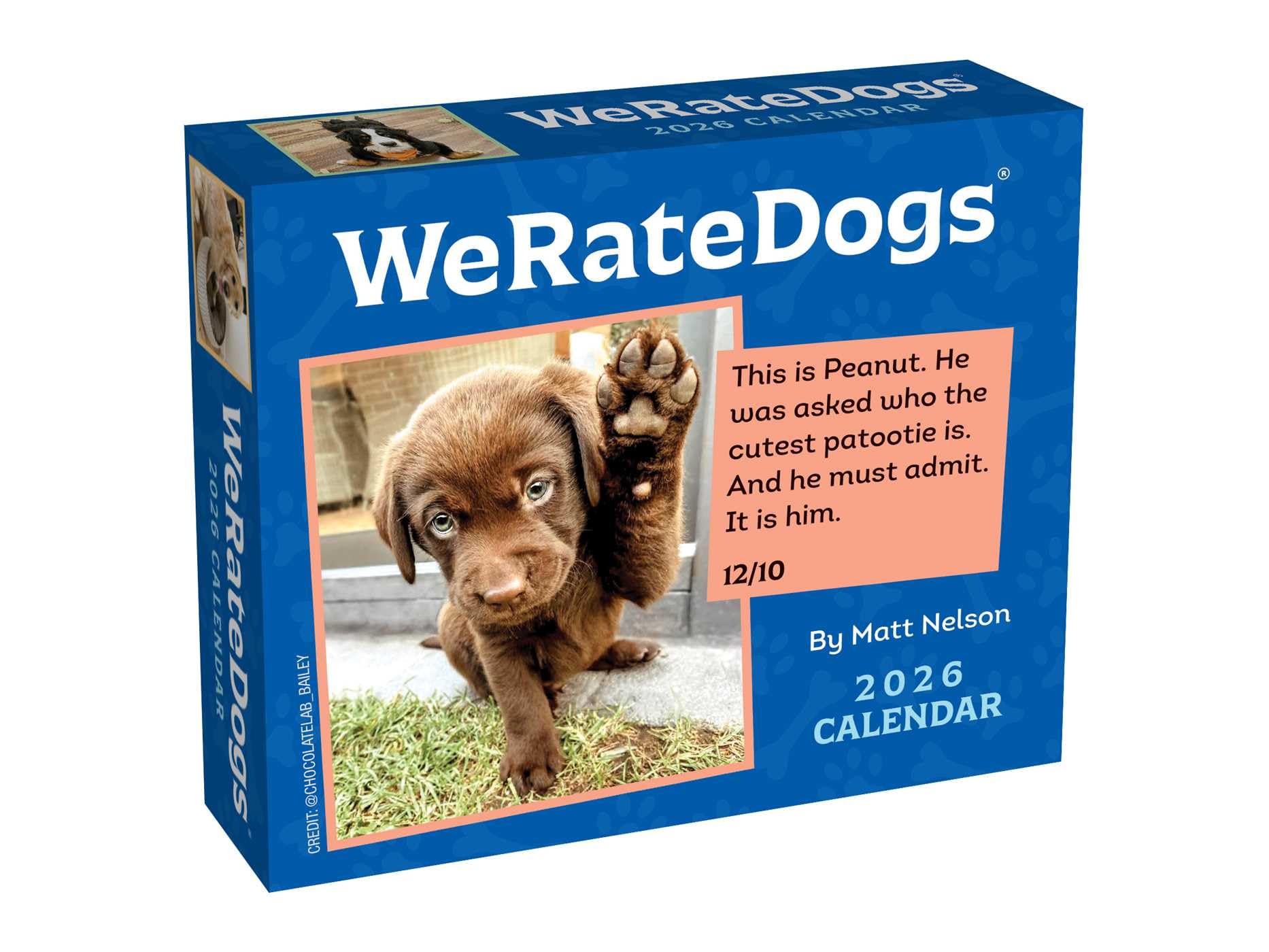 Weratedogs 2026 Day-To-Day Calendar by Nelson, Matt