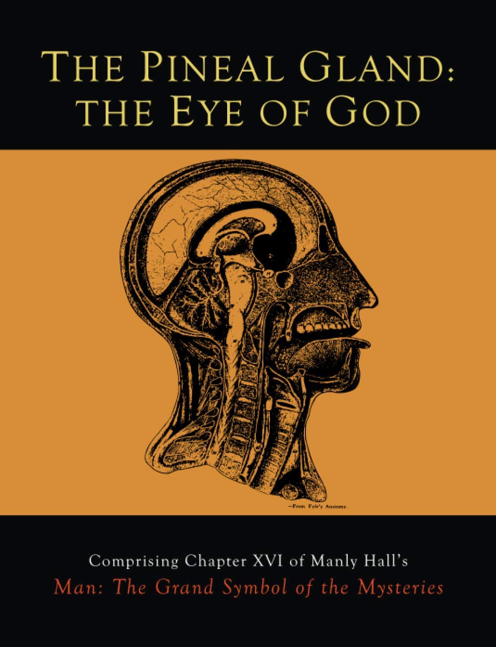 The Pineal Gland: The Eye of God by Hall, Manly P.