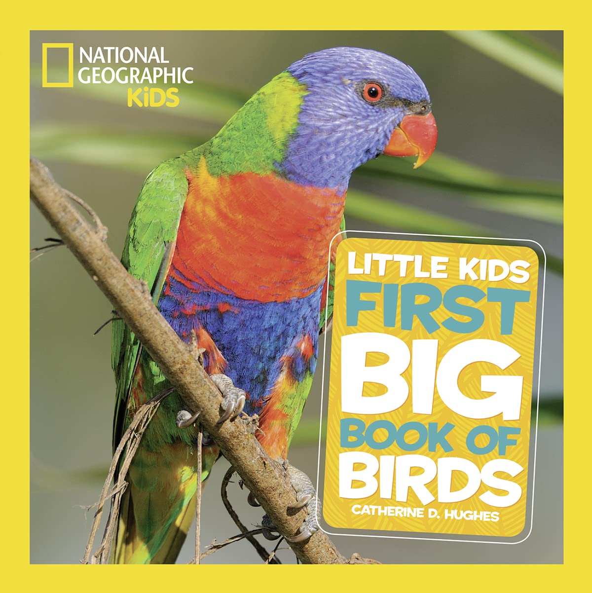 National Geographic Little Kids First Big Book of Birds by Hughes, Catherine D.